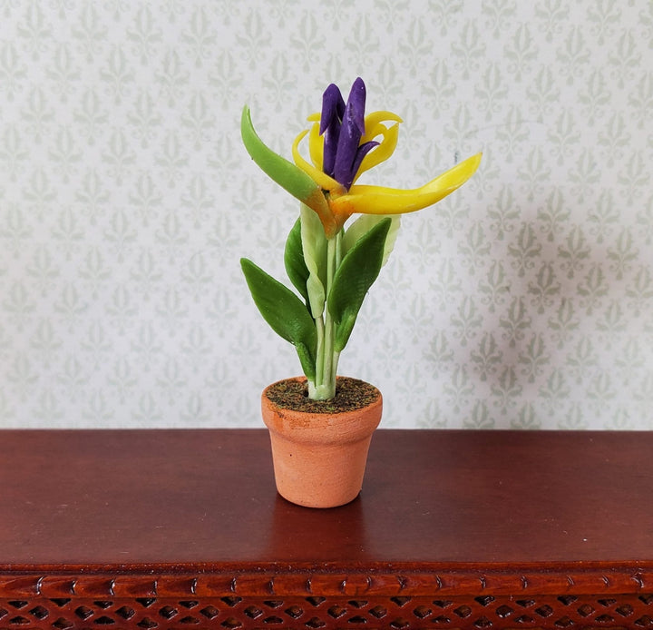 Dollhouse Flowering Tropical Plant in Terra Cotta Pot 1:12 Scale Miniature - MiniatureCrush