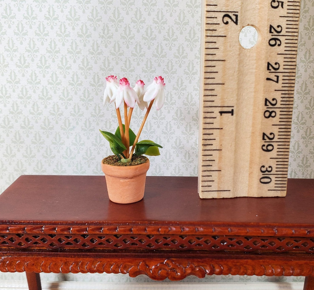 Dollhouse Flowering White Fuchsia Plant in Terra Cotta Pot 1:12 Scale Miniature - MiniatureCrush