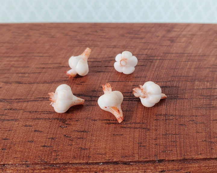 Dollhouse Garlic Bulbs 5 Pieces Large Size 1:12 Scale Miniature Food Groceries - Miniature Crush