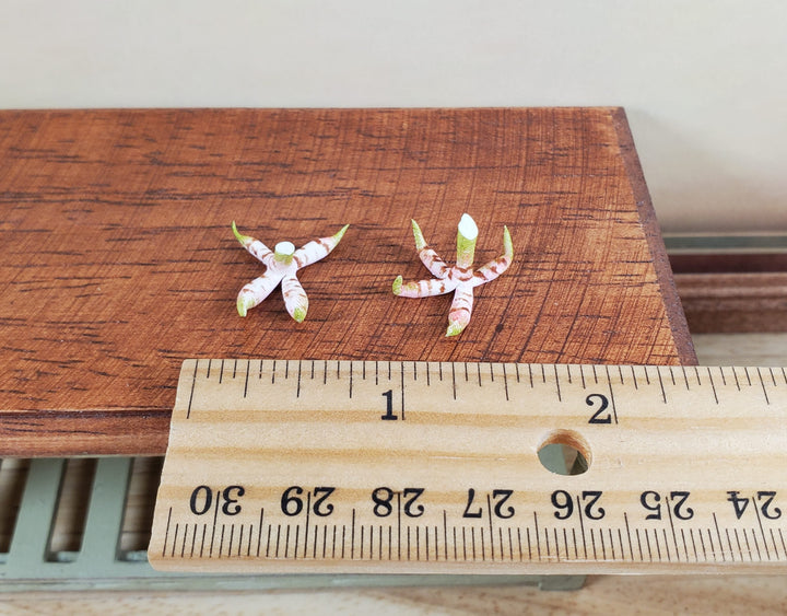 Dollhouse Ginger Root 2 Bunches 1:12 Scale Miniature Food Kitchen Grocer - MiniatureCrush