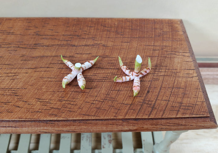 Dollhouse Ginger Root 2 Bunches 1:12 Scale Miniature Food Kitchen Grocer - MiniatureCrush