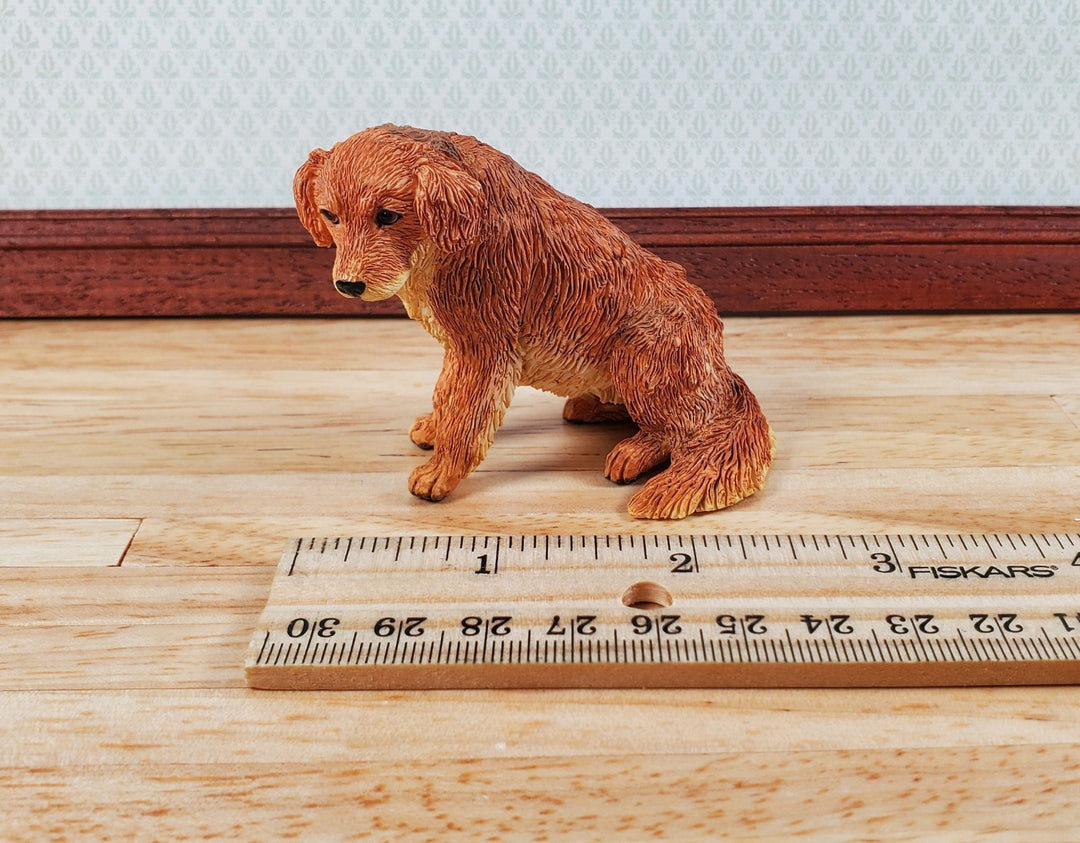 Dollhouse Golden Retriever Dog Pet 1:12 Scale Miniature Animal - Miniature Crush