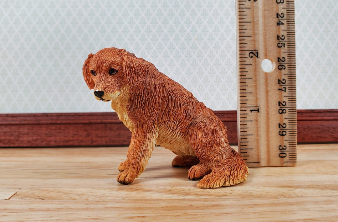 Dollhouse Golden Retriever Dog Pet 1:12 Scale Miniature Animal - Miniature Crush