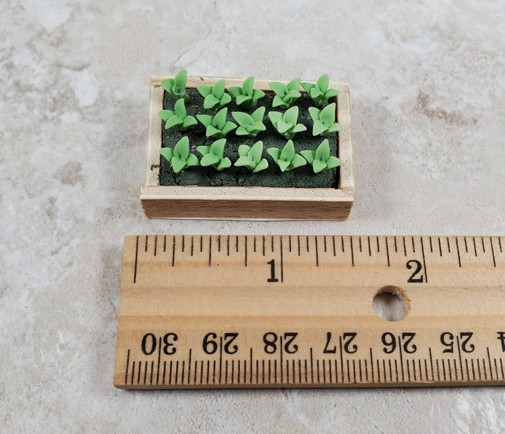 Dollhouse Green Seedlings in a Rectangular Wood Tray 1:12 Scale Miniature - MiniatureCrush