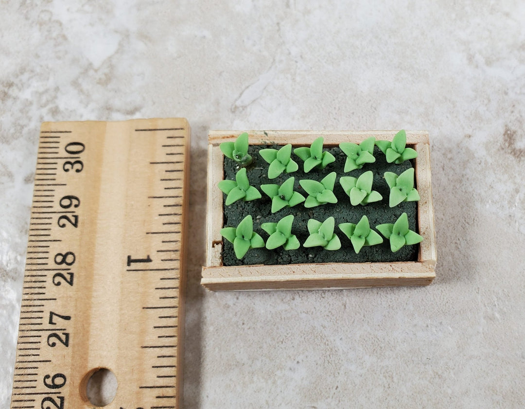 Dollhouse Green Seedlings in a Rectangular Wood Tray 1:12 Scale Miniature - MiniatureCrush