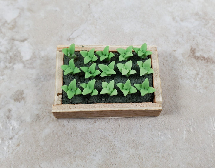 Dollhouse Green Seedlings in a Rectangular Wood Tray 1:12 Scale Miniature - MiniatureCrush