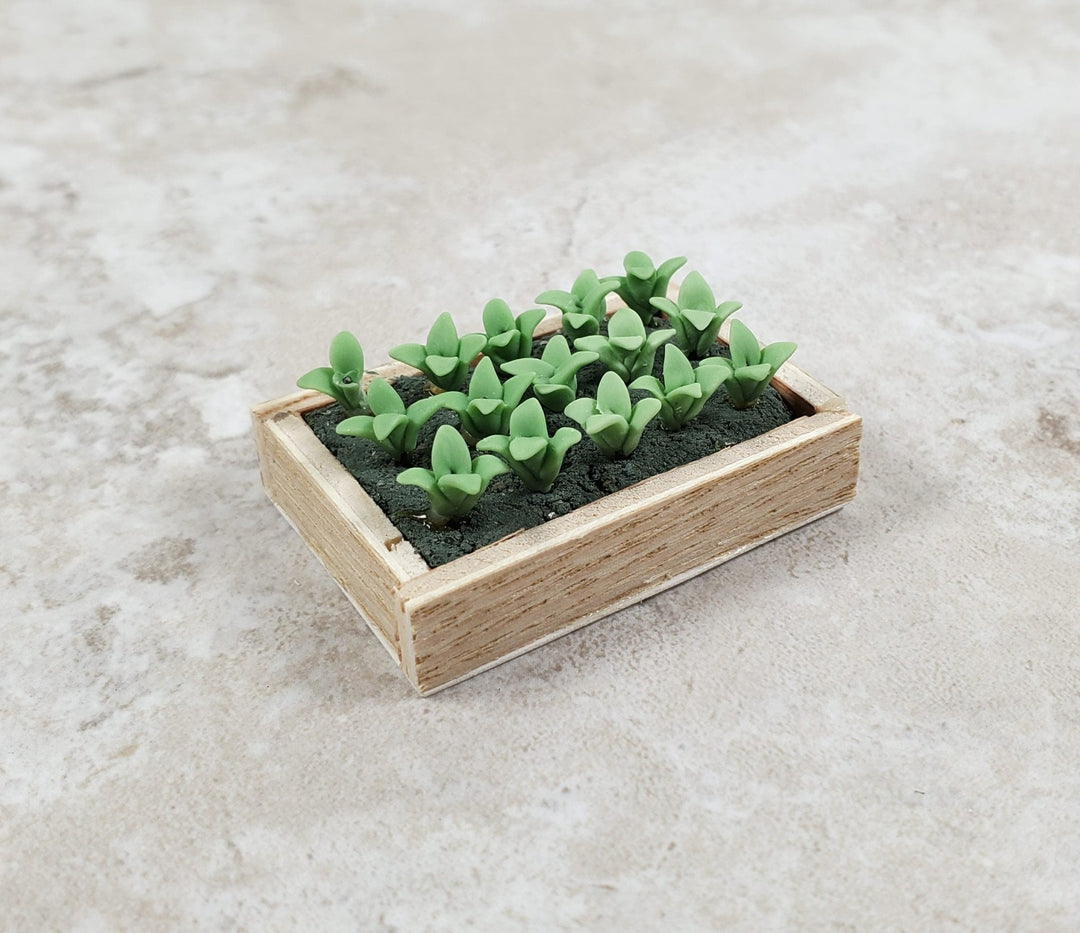 Dollhouse Green Seedlings in a Rectangular Wood Tray 1:12 Scale Miniature - MiniatureCrush