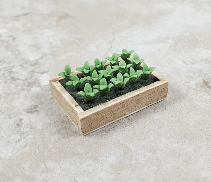 Dollhouse Green Seedlings in a Rectangular Wood Tray 1:12 Scale Miniature - MiniatureCrush