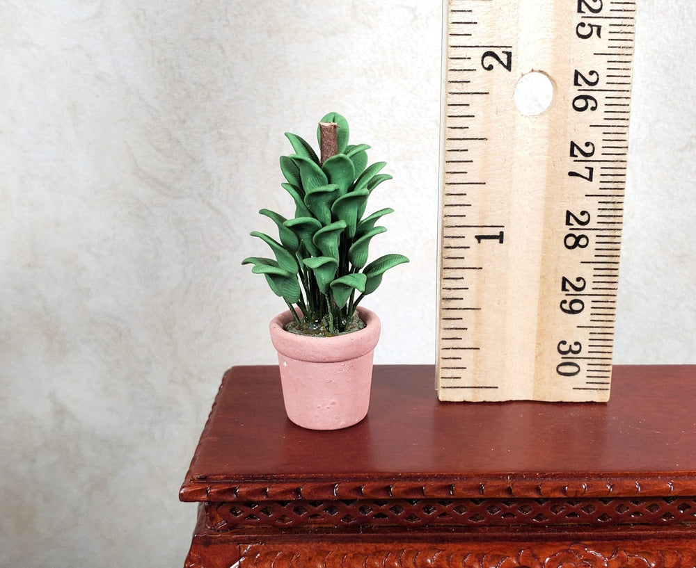 Dollhouse Green Small Leaf Houseplant in Terra Cotta Pot 1:12 Scale Miniature - MiniatureCrush
