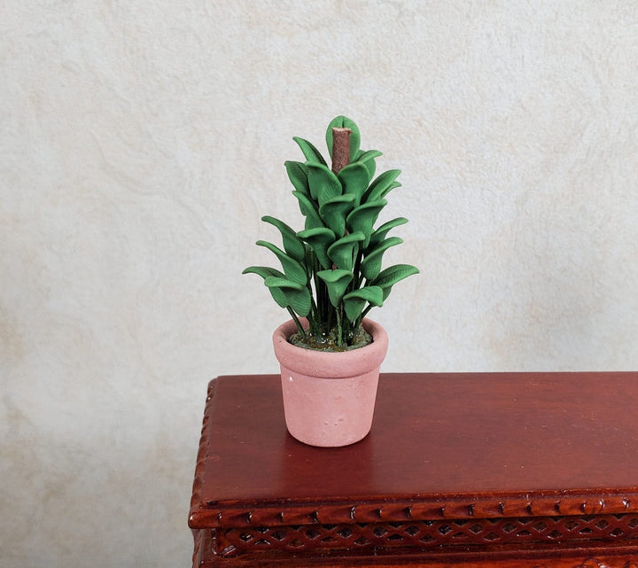 Dollhouse Green Small Leaf Houseplant in Terra Cotta Pot 1:12 Scale Miniature - MiniatureCrush