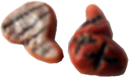 Dollhouse Grilled Chicken Set of 2 1:12 Scale Miniature Food Kitchen - MiniatureCrush