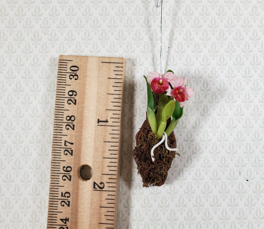 Dollhouse Hanging Orchid on Bark with Moss Pink Flowering Plant 1:12 Scale - MiniatureCrush