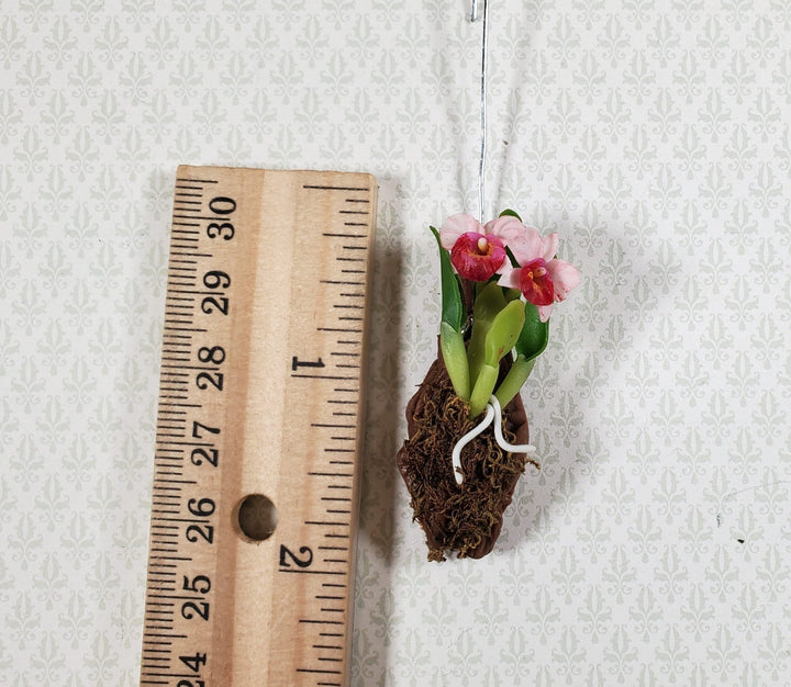 Dollhouse Hanging Orchid on Bark with Moss Pink Flowering Plant 1:12 Scale - MiniatureCrush