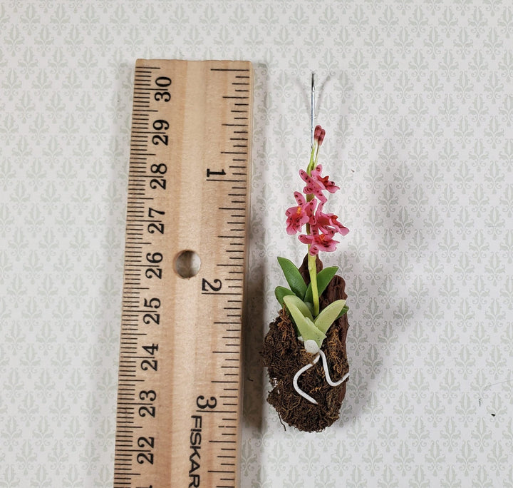 Dollhouse Hanging Orchid on Bark with Moss Pink Flowering Plant 1:12 Scale - MiniatureCrush
