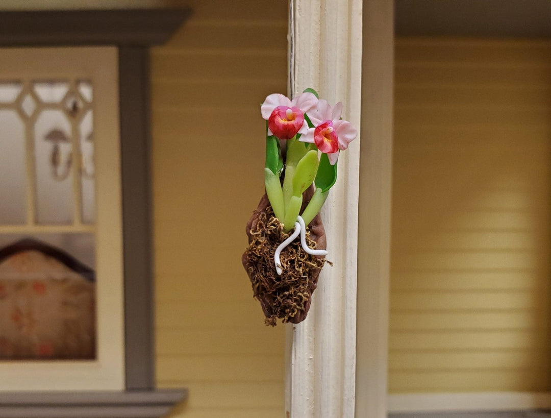 Dollhouse Hanging Orchid on Bark with Moss Pink Flowering Plant 1:12 Scale - MiniatureCrush