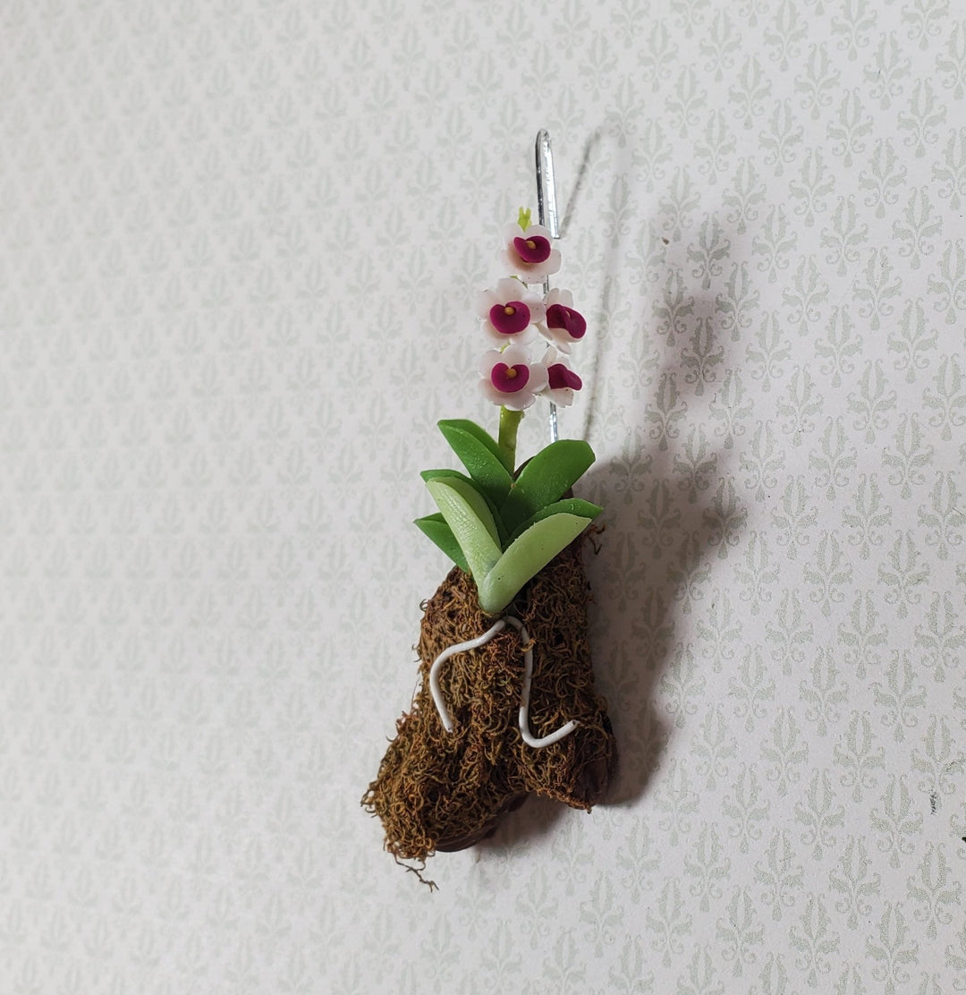 Dollhouse Hanging Orchid White Purple Bark & Moss Flowering Plant 1:12 Scale - MiniatureCrush