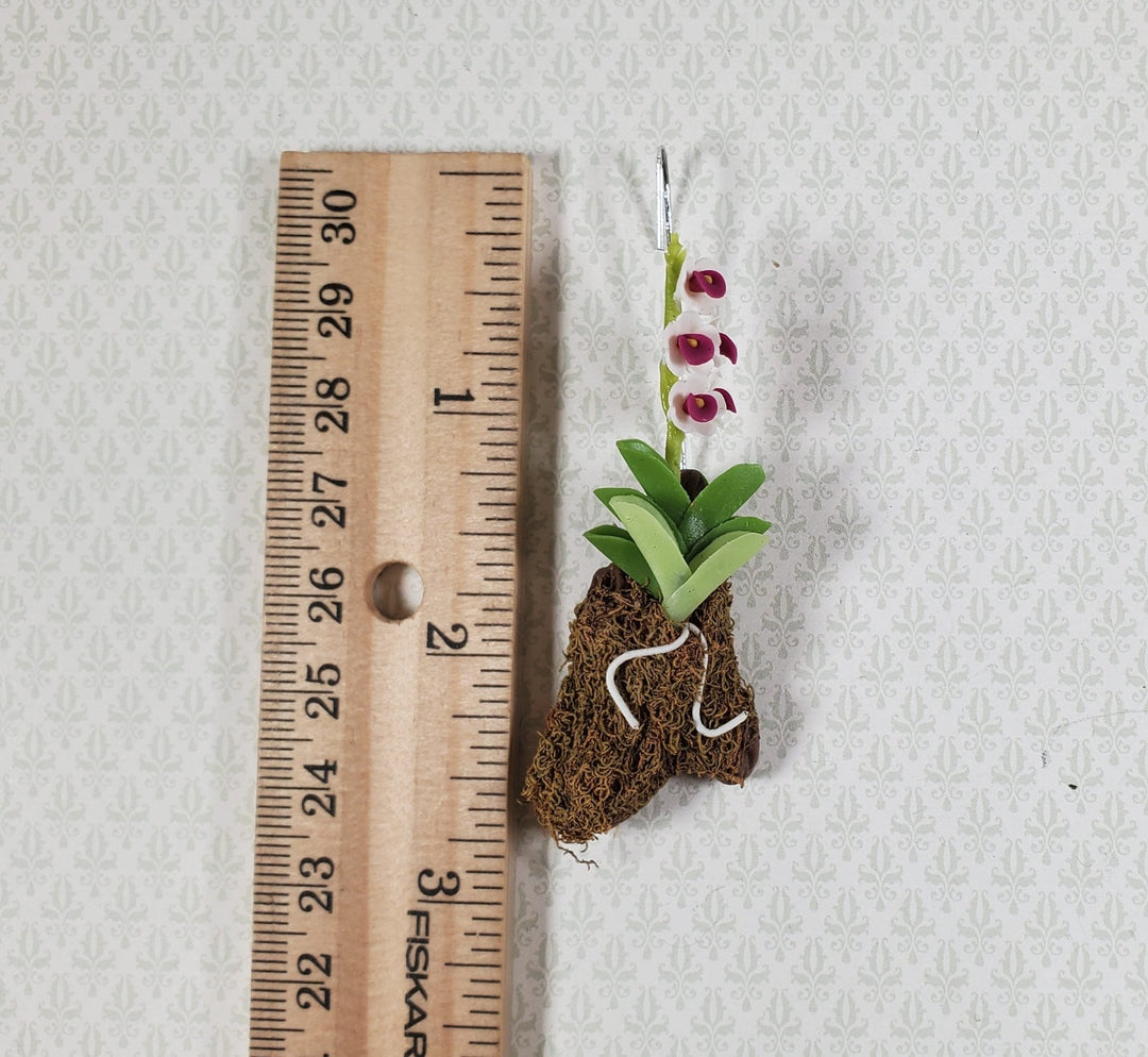 Dollhouse Hanging Orchid White Purple Bark & Moss Flowering Plant 1:12 Scale - MiniatureCrush