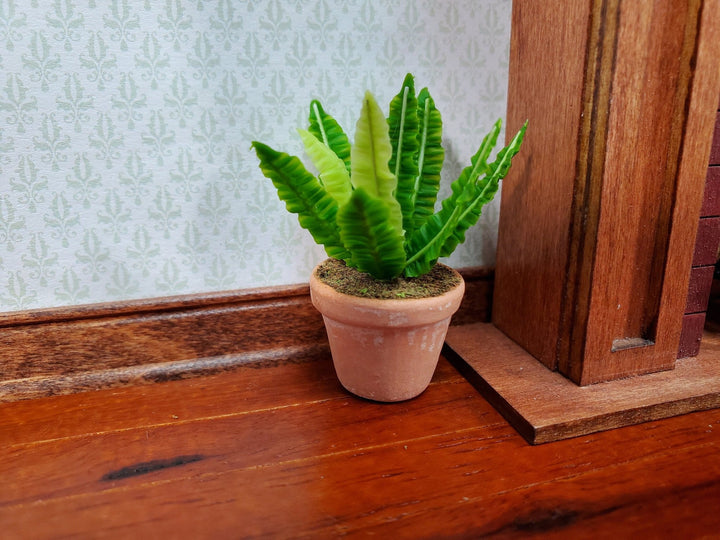 Dollhouse Houseplant Broadleaf Fern Terra Cotta Pot 1:12 Scale Miniature Plant - MiniatureCrush