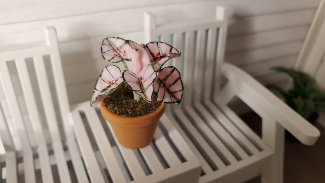 Dollhouse Houseplant Caladium Potted Plant 1:12 Scale Miniature Terra Cotta Pot - MiniatureCrush