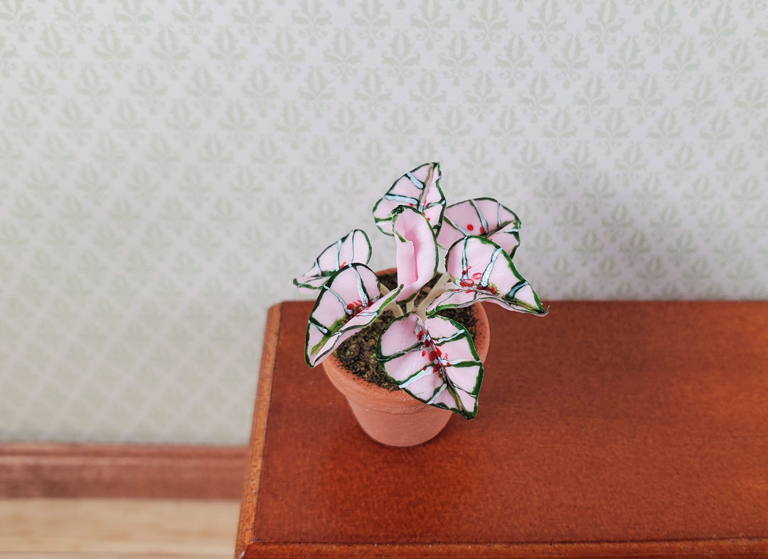 Dollhouse Houseplant Caladium Potted Plant 1:12 Scale Miniature Terra Cotta Pot - MiniatureCrush