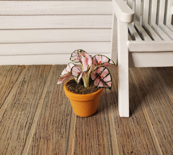 Dollhouse Houseplant Caladium Potted Plant 1:12 Scale Miniature Terra Cotta Pot - MiniatureCrush
