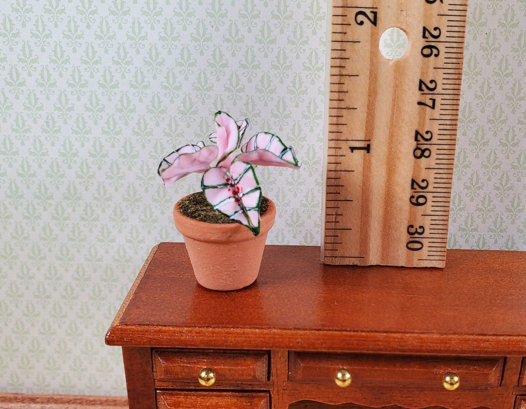 Dollhouse Houseplant Caladium Potted Plant 1:12 Scale Miniature Terra Cotta Pot - MiniatureCrush