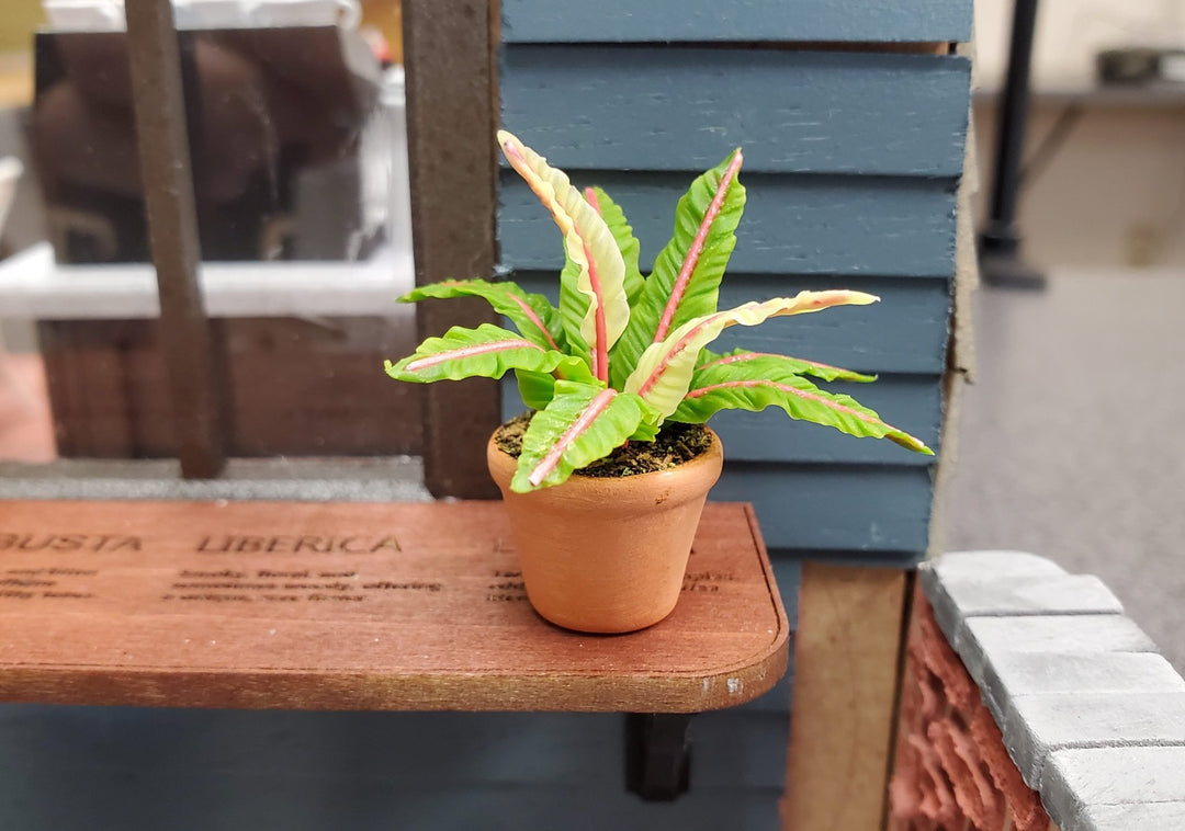 Dollhouse Houseplant Lady in Red Fern Terra Cotta Pot 1:12 Scale Miniature Plant - MiniatureCrush