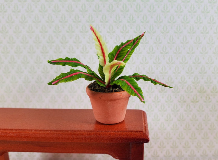 Dollhouse Houseplant Lady in Red Fern Terra Cotta Pot 1:12 Scale Miniature Plant - MiniatureCrush