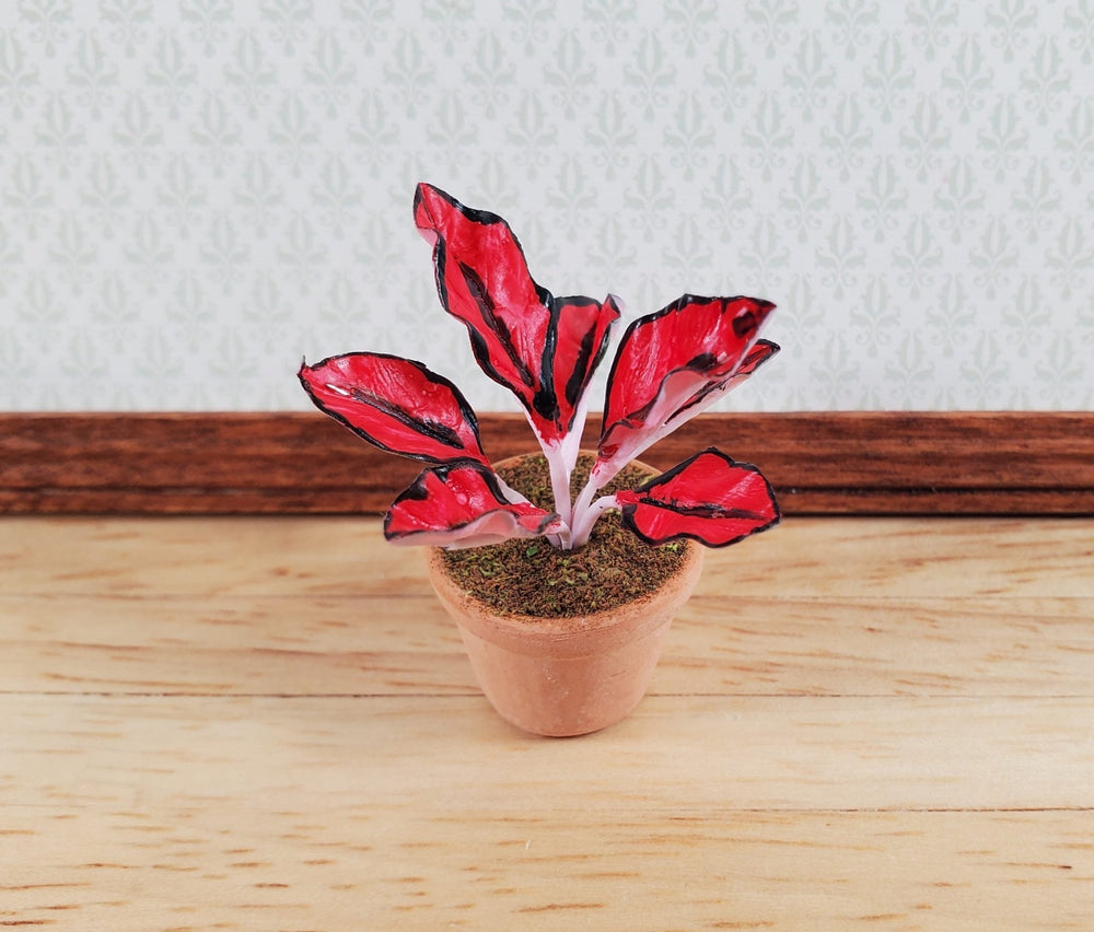 Dollhouse Houseplant Ti Cordyline Potted Plant 1:12 Scale Miniature - MiniatureCrush