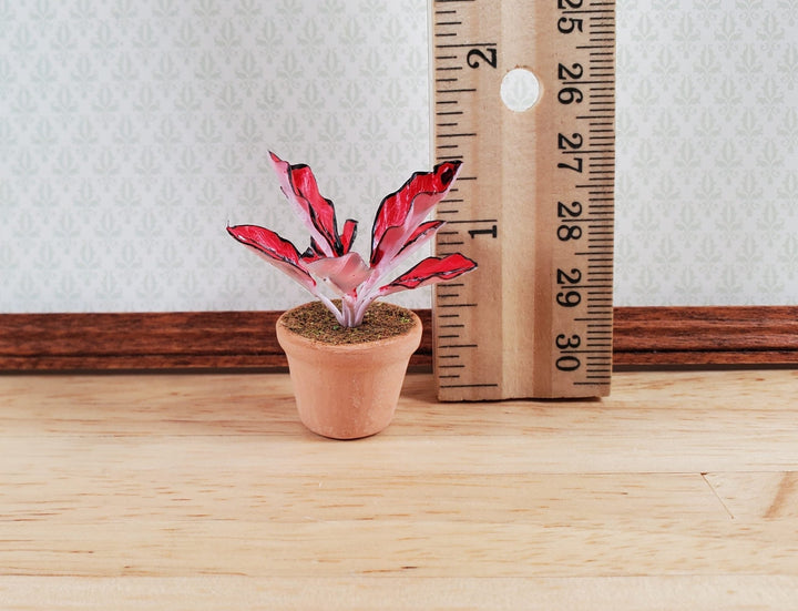 Dollhouse Houseplant Ti Cordyline Potted Plant 1:12 Scale Miniature - MiniatureCrush