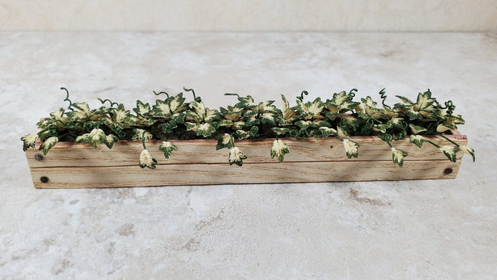Dollhouse Inner Variegated Ivy in 5.25" Window Box Planter 1:12 Scale Miniature - MiniatureCrush