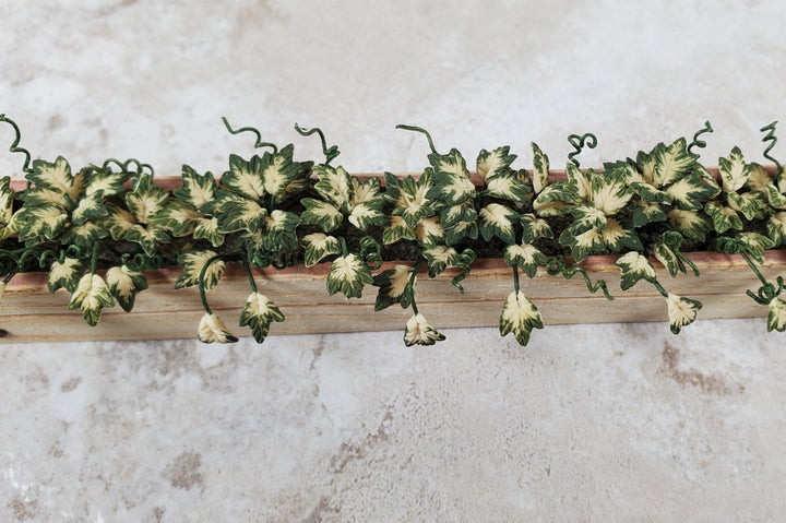 Dollhouse Inner Variegated Ivy in 5.25" Window Box Planter 1:12 Scale Miniature - MiniatureCrush