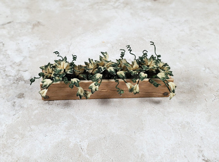 Dollhouse Ivy in a 3.25" Wooden Window Box Planter 1:12 Scale Miniature - MiniatureCrush