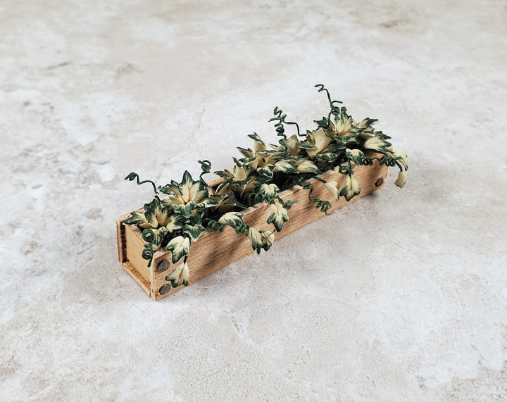 Dollhouse Ivy in a 3.25" Wooden Window Box Planter 1:12 Scale Miniature - MiniatureCrush