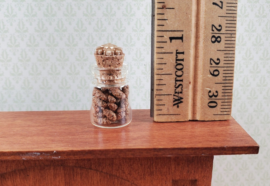 Dollhouse Jar with Tiny Pinecones 1:12 Scale Miniature - MiniatureCrush
