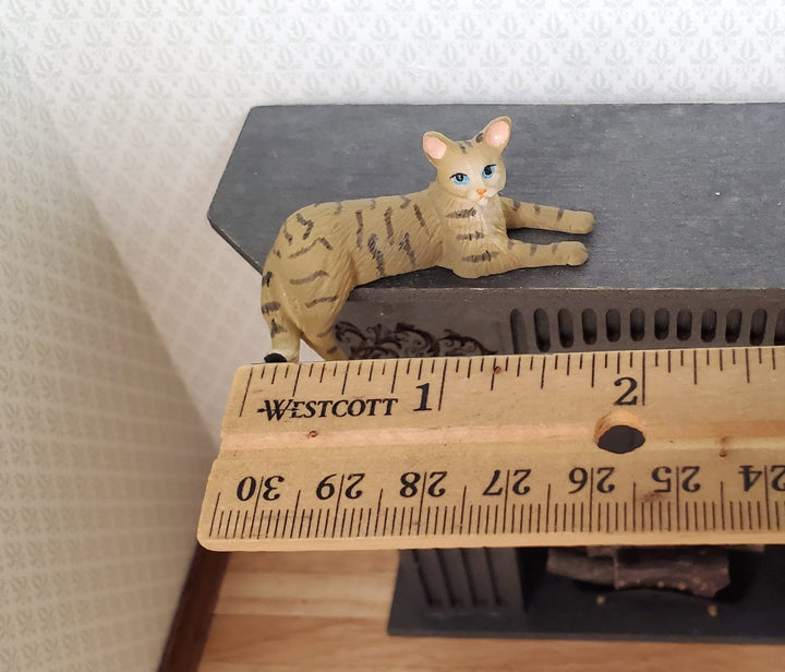 Dollhouse Kitty Cat Brown Tabby Shelf Sitter Leg Down 1:12 Scale Miniature Pet - MiniatureCrush