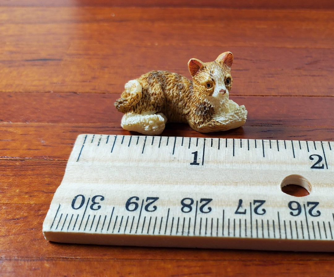 Dollhouse Kitty Cat Orange Brown White Lying Down Head Up 1:12 Sale Miniature - Miniature Crush