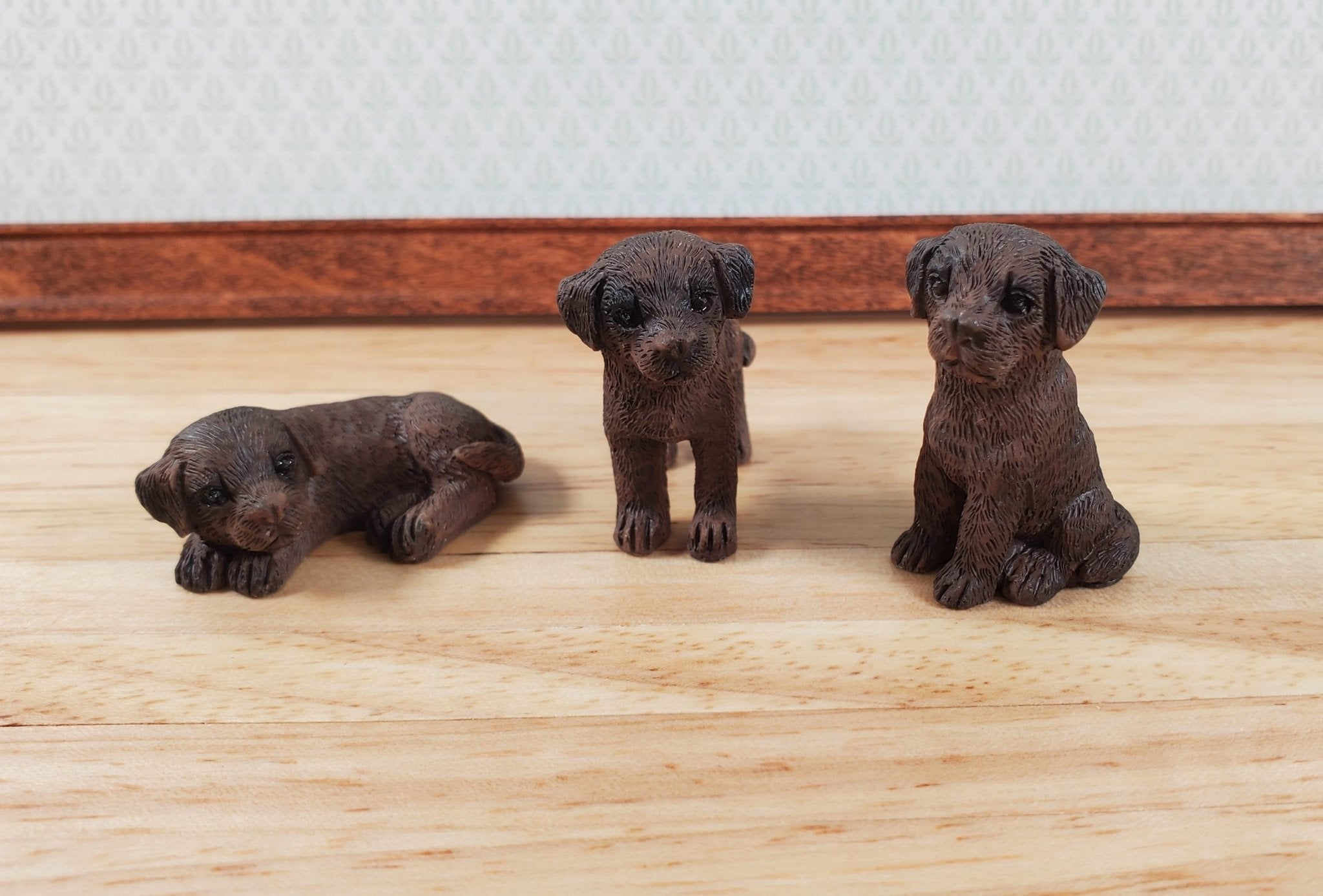 Miniature fashion labradors