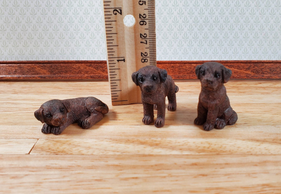 Dollhouse Labrador Chocolate Lab Puppy Dogs x3 1:12 Scale Miniatures Animal Pet - Miniature Crush