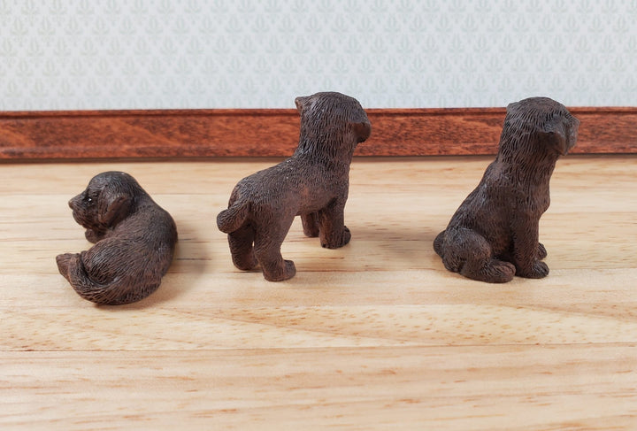 Dollhouse Labrador Chocolate Lab Puppy Dogs x3 1:12 Scale Miniatures Animal Pet - Miniature Crush