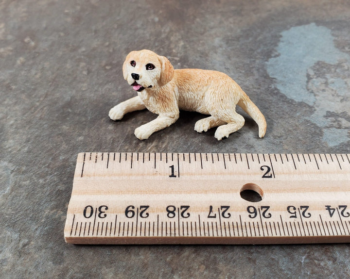 Dollhouse Labrodor Retriever Lab Puppy Dog Sitting 1:12 Scale Miniature Animal - Miniature Crush