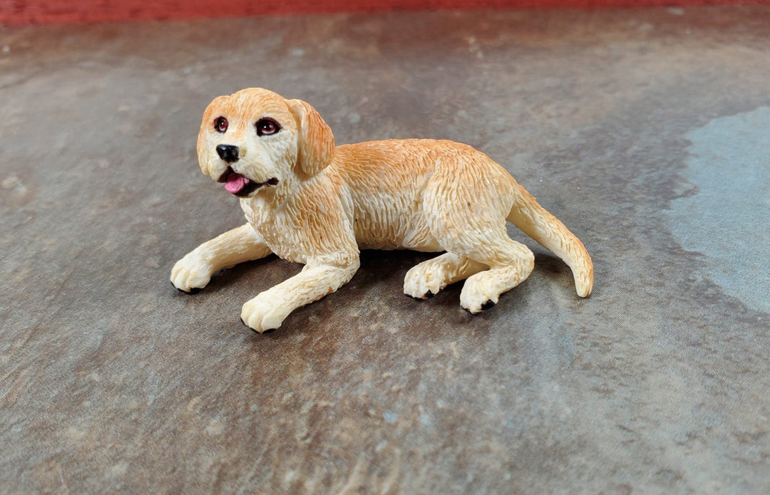 Dollhouse Labrodor Retriever Lab Puppy Dog Sitting 1:12 Scale Miniature Animal - Miniature Crush