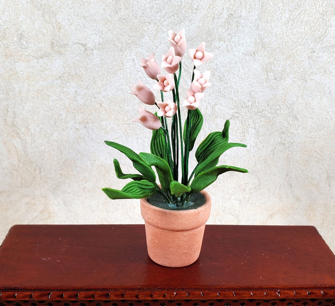lily of the valley plant in pots Dollhouse Large Pink Lily of the Valley in Terra Cotta Pot 1:12 Scale Miniature