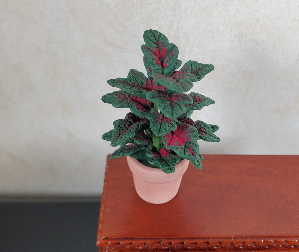 Dollhouse Large Tropical Houseplant Dark Green with Red Leaves 1:12 Scale - MiniatureCrush