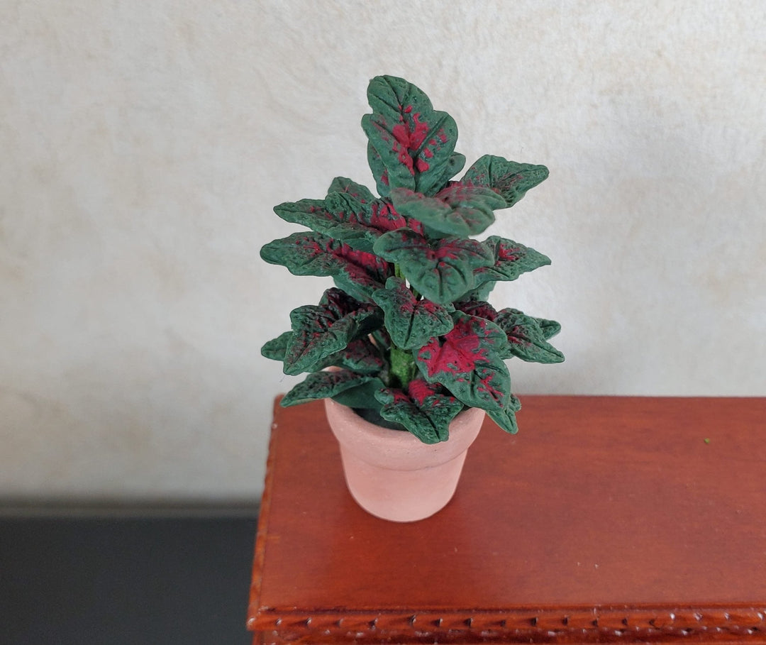 Dollhouse Large Tropical Houseplant Dark Green with Red Leaves 1:12 Scale - MiniatureCrush
