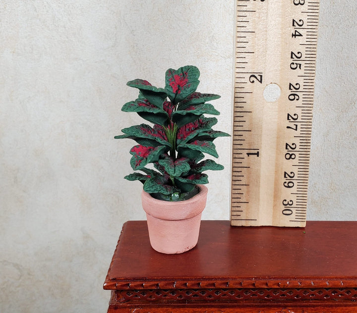 Dollhouse Large Tropical Houseplant Dark Green with Red Leaves 1:12 Scale - MiniatureCrush