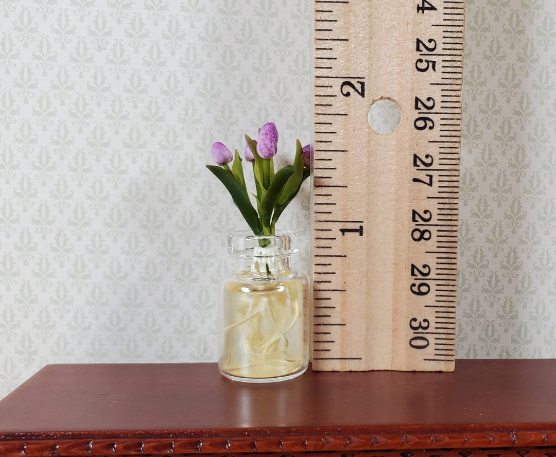 Dollhouse Lavender Tulip Bulbs with Roots in a Glass Jar1:12 Scale Miniature - MiniatureCrush