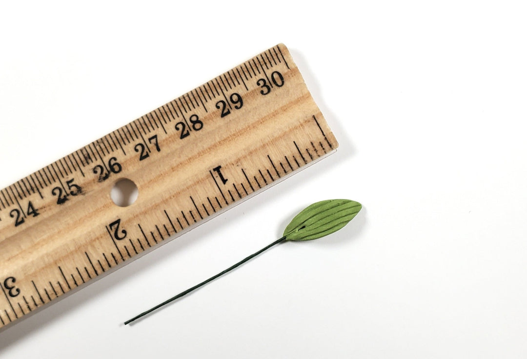Dollhouse Light Green Leaves Long Stem Set of 10 Long Oval 1:12 Scale Miniature - MiniatureCrush