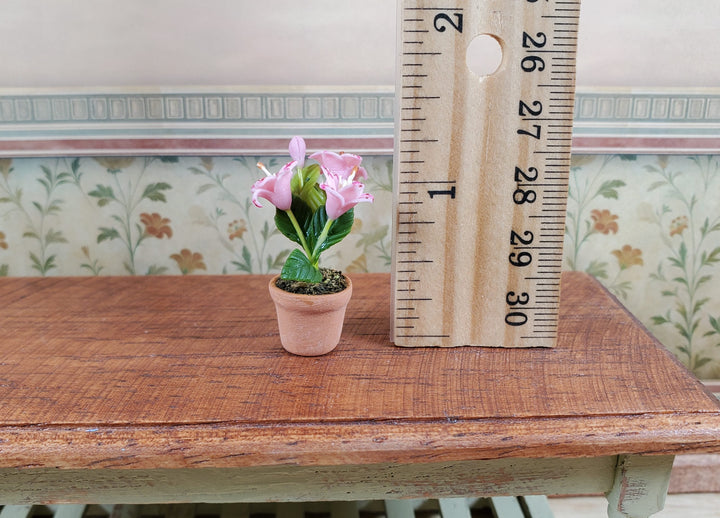 Dollhouse Lilies Pink in a Terra Cotta Planter 1:12 Scale Miniature Lily Flowers - MiniatureCrush