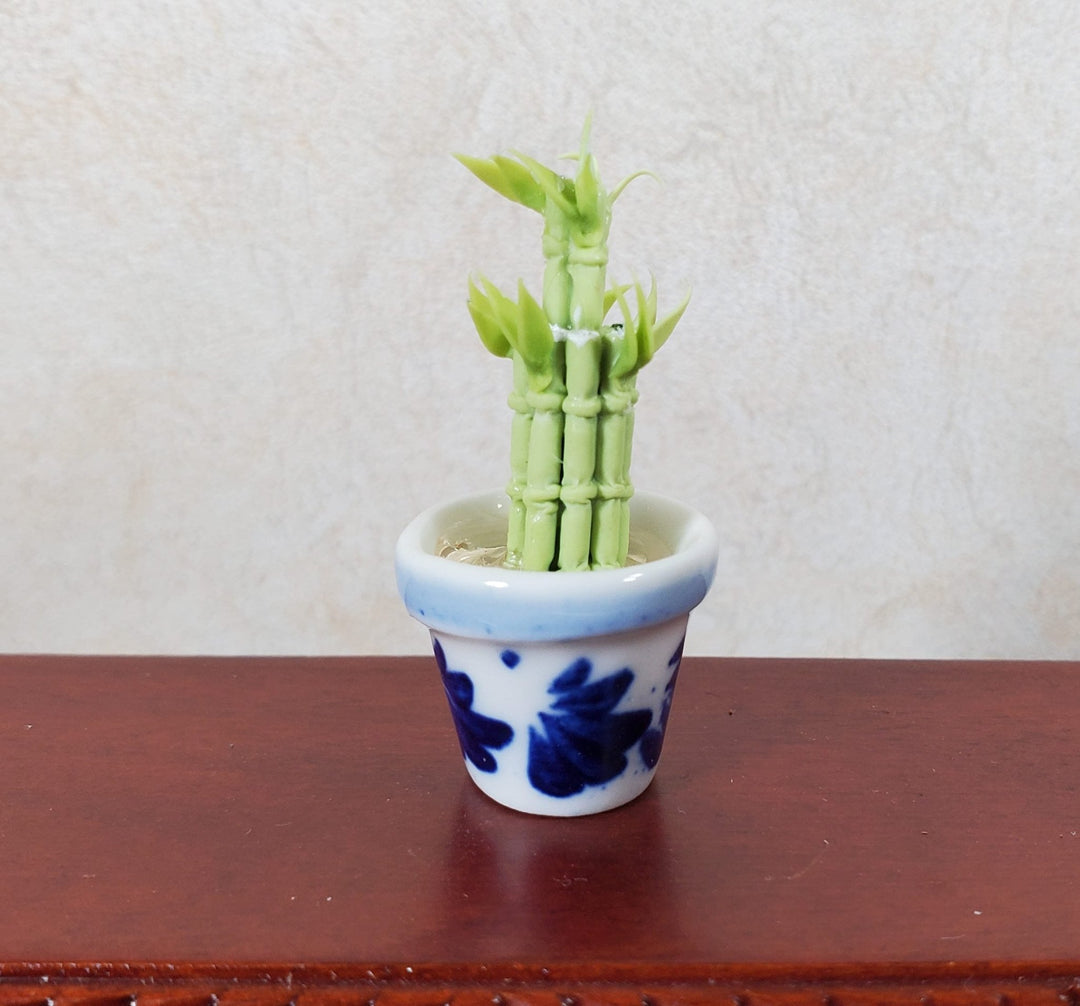 Dollhouse Lucky Bamboo Plant Plant in Blue & White Pot 1:12 Scale Houseplant - MiniatureCrush